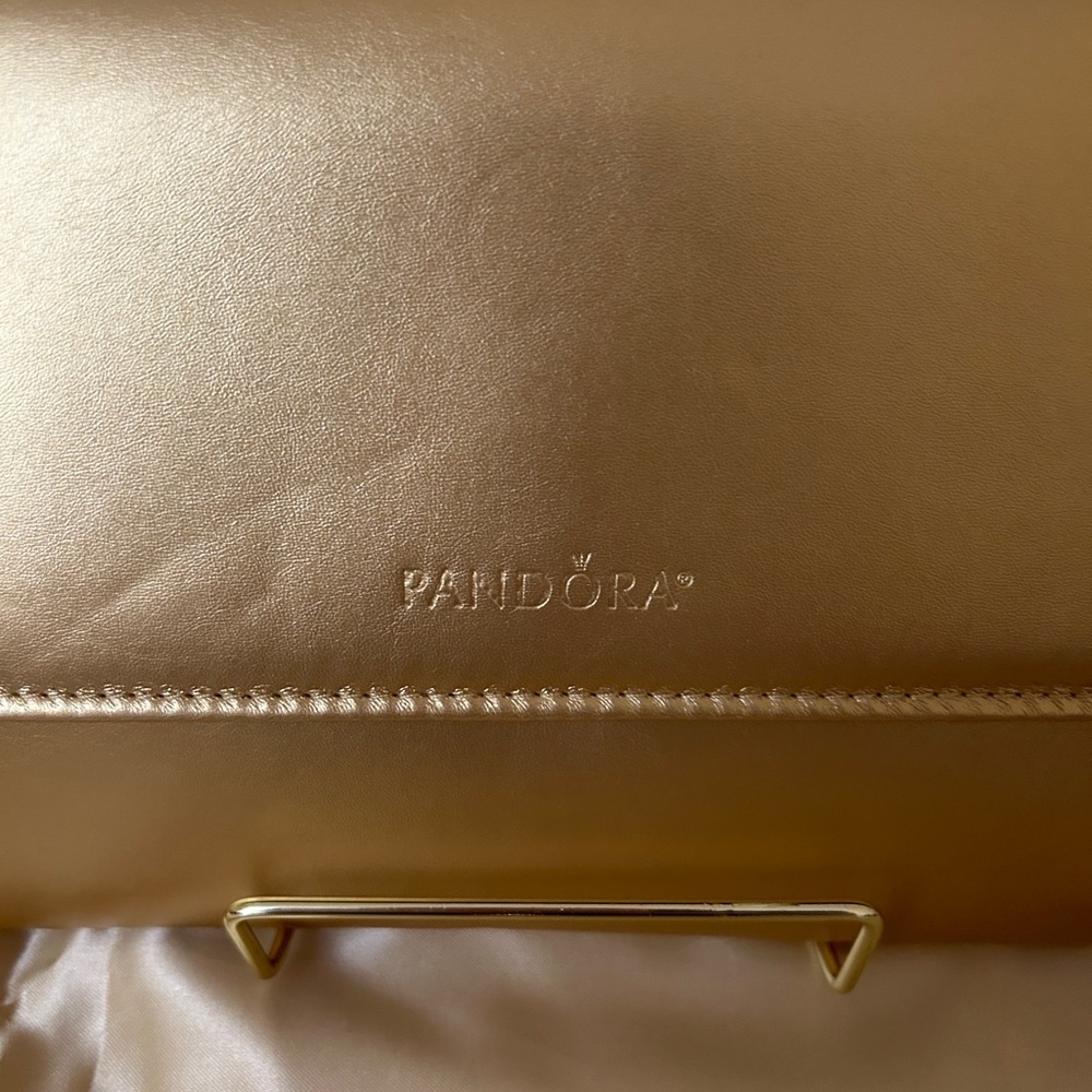Pandora Shine Large Clutch - Picture 2 of 6
